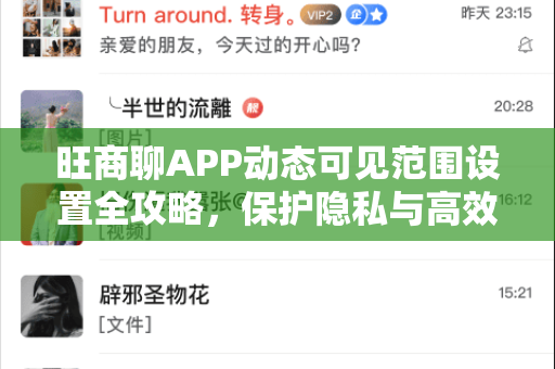 旺商聊APP动态可见范围设置全攻略，保护隐私与高效沟通的平衡术